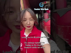 Decoratieve draadnet driehoek hek paneel Hoge beveiliging aangepaste kleur