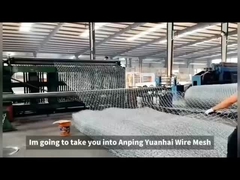 PVC / Thermisch verzinkt ijzerdraad gaas voor steunmuren