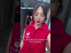 Perforated wire mesh van roestvrij staal voor ontwikkeling en filtercilinder