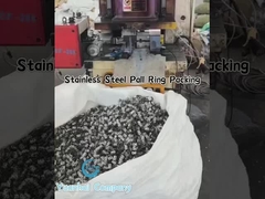 Pallringe van roestvrij staal voor het schrobben en distilleren van gas