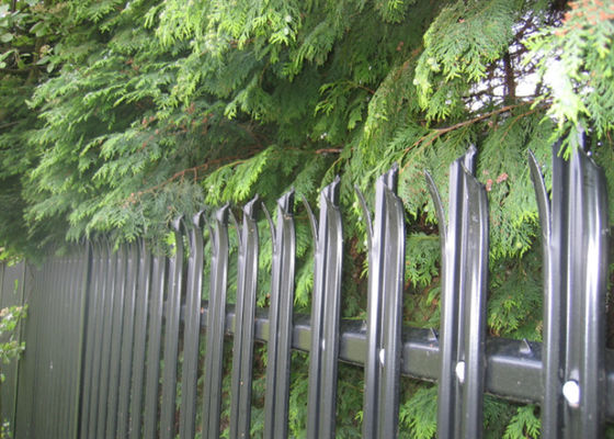 70 mm W Pale 3,0 mm Hot Dip Galvanized Steel Palisade Fencing voor residentiële beveiliging