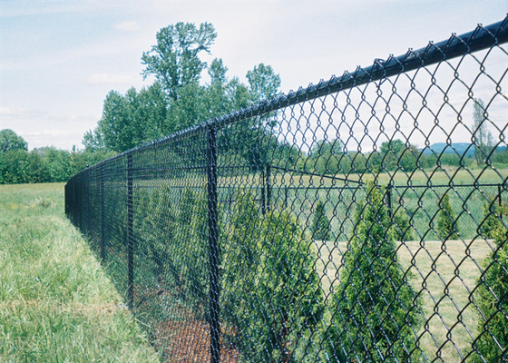 Heet Ondergedompeld Gegalvaniseerd Tijdelijk Mesh Fencing 9 Maat 4.0mm voor Landbouwbedrijf