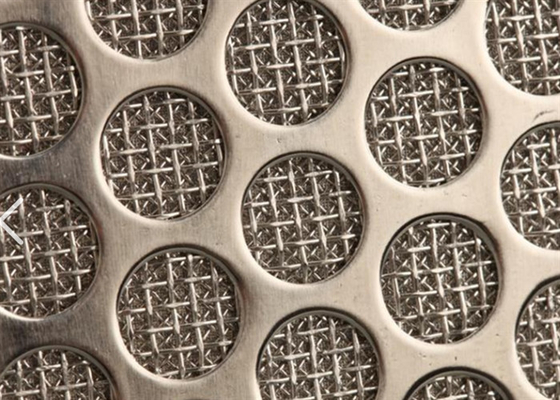 Perforated wire mesh van roestvrij staal voor ontwikkeling en filtercilinder