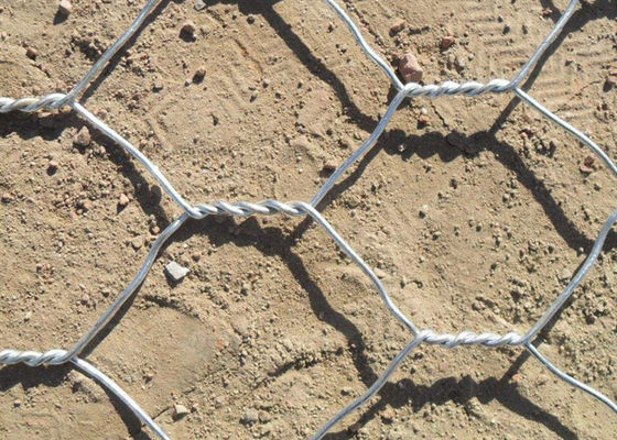 PVC / Thermisch verzinkt ijzerdraad gaas voor steunmuren