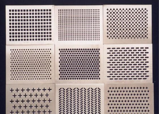 Industrieel geperforeerd draadnetpaneel voor filtratiesystemen en zeefsystemen