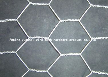 Hexagonaal de Draadnetwerk van Gabion van de Kippenkippenren voor Stijl van de Landbouwbedrijf de Normale/Omgekeerde Draai