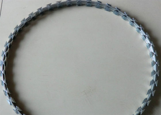 Bto-22 het Prikkeldraadpvc van de scheermesrol bedekte 500mm Diameter voor Privé Huis met een laag